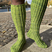 Haltia pattern