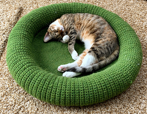 Kitty Bed