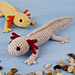 Axolotl pattern 