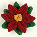 Poinsettia photo 3