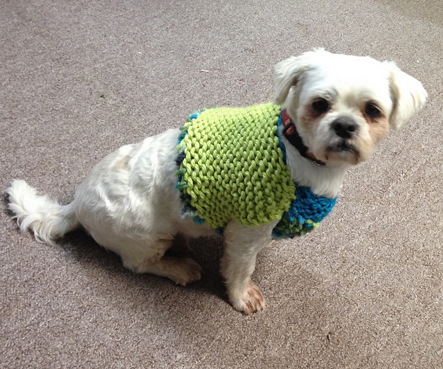 Ravelry Knitting a Dog Sweater the Easy Way pattern by Amanda Wray