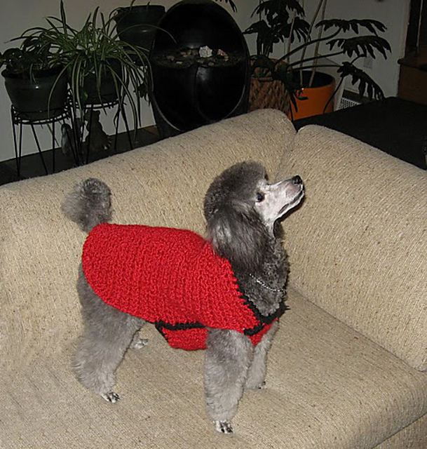 Ravelry Dog Coat pattern by Lion Brand Yarn
