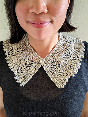 Elegant Decorative Collar 다른 모습 2