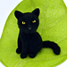 Black Cat Fluffy pattern 