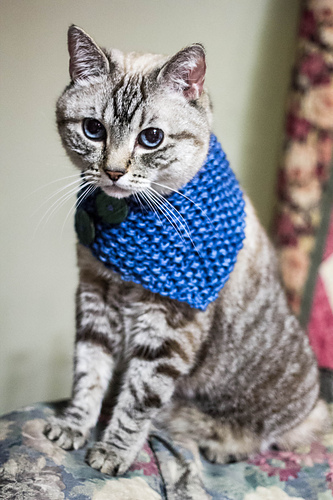 The Triangle Cowl for Tiny Creatures photo 2