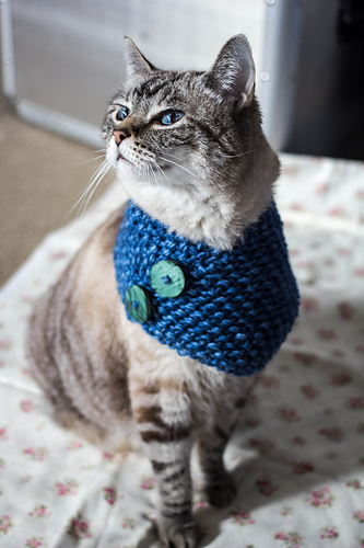 The Triangle Cowl for Tiny Creatures photo 3