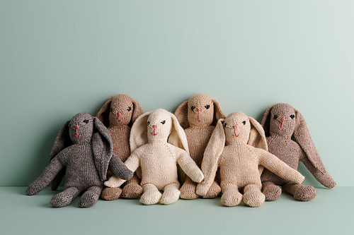Sweet Bunny photo 6
