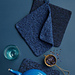 Blue Moon Pot Holder pattern 