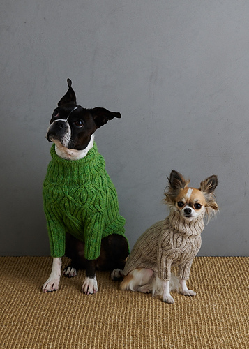 botanical-yoke-dog-sweater-GW-