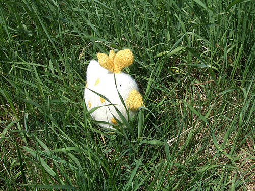 Le Poulet photo 7