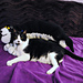 Cat Neck Pillow photo 4
