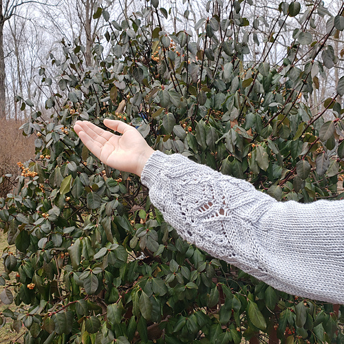 Adventures in shoulder seams! : r/knitting