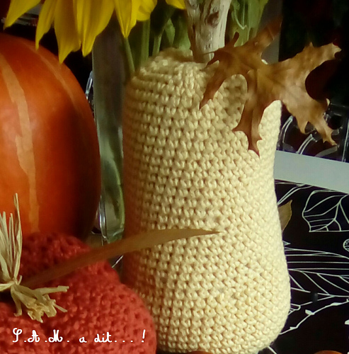 une doubeurre ou butternut photo 2