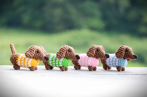 Mini Dachshund in Sweater