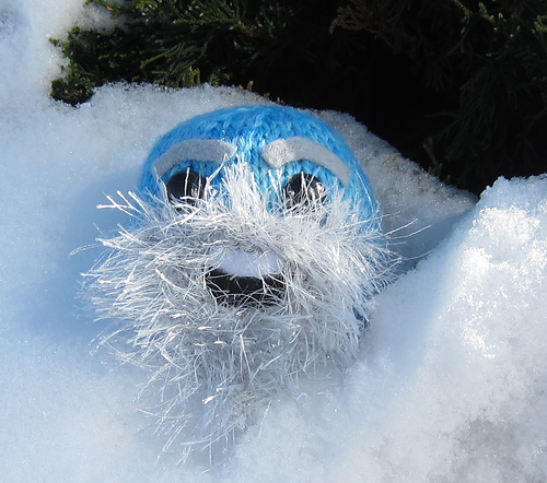 Mr. Abominable the Snow Puff photo 1