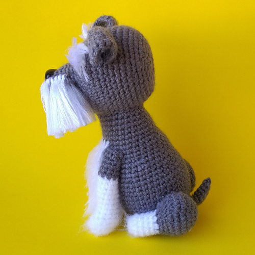 Schnauzerhund - Raquel Medeiros
