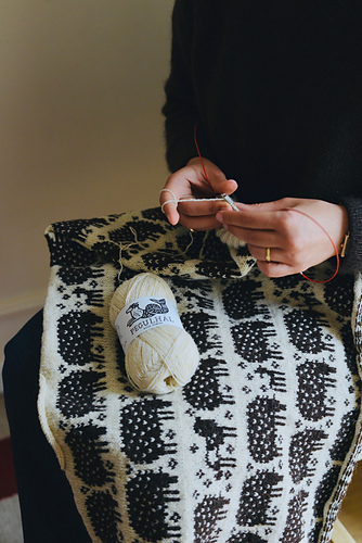 Fårgenser - Ágata Xavier