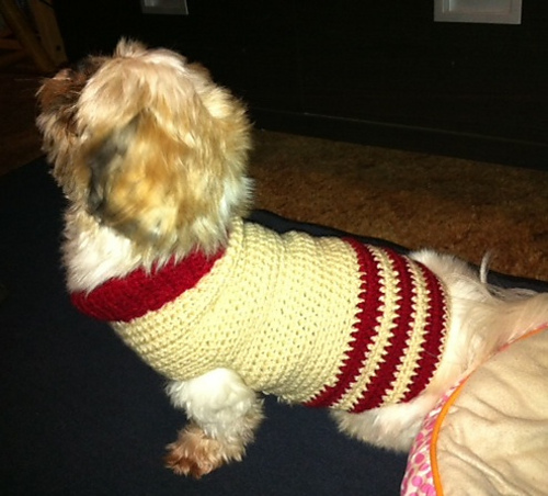 Dog sweater / Hunde-Pulli photo 8