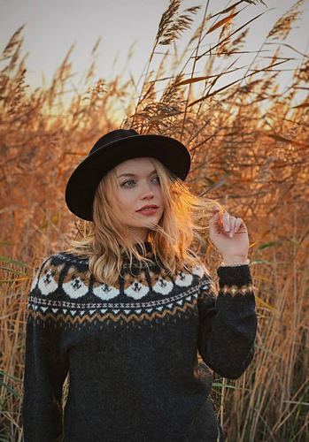 photo_2025-01-31_21.41.