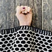 The Solidarity Cowl pattern 