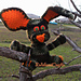 Bessie Bunny pattern