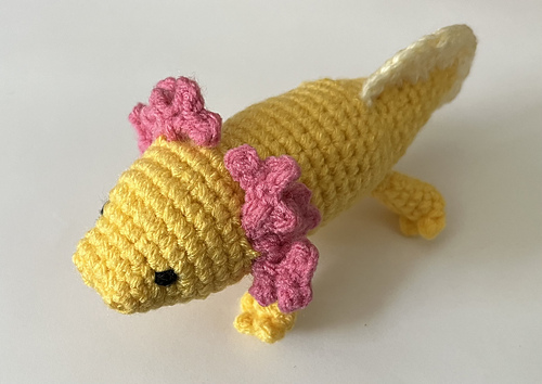 Axolotl