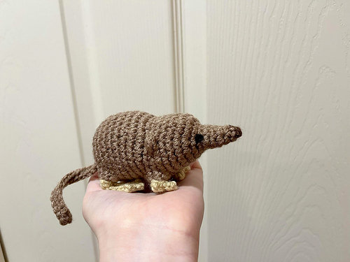 Shrew