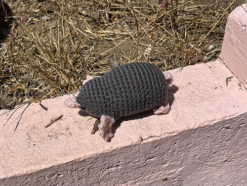 Mole