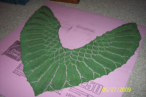 Anna Baltzer Wings of Peace photo 7