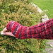 Wildflower Fingerless Gloves pattern 