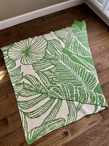 houseplant blanket photo 2