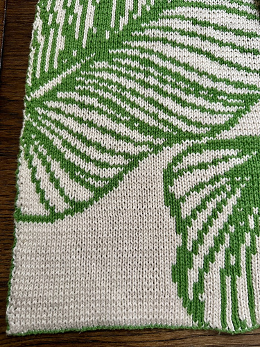 houseplant blanket photo 4