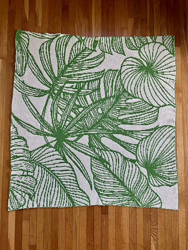 houseplant blanket photo 6