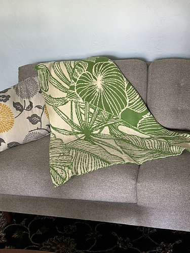houseplant blanket photo 10