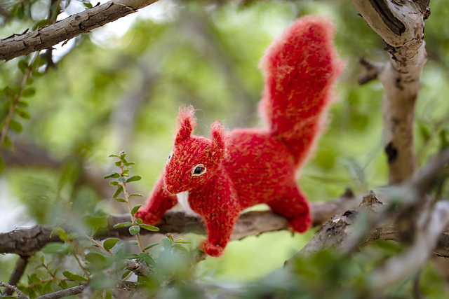 Ravelry: Red Squirrel pattern by Sara Elizabeth Kellner