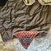 Spring Shell Bandana pattern 