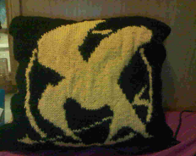 Ravelry Hunger Games Pillow/Chart pattern by Sarah VanDoren