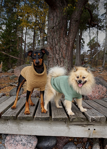 Alvar hundegenser - Sari Nordlund