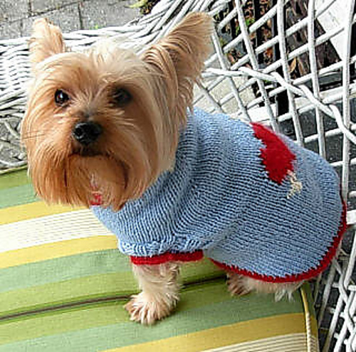 The Boyfriend Dog Sweater photo 6