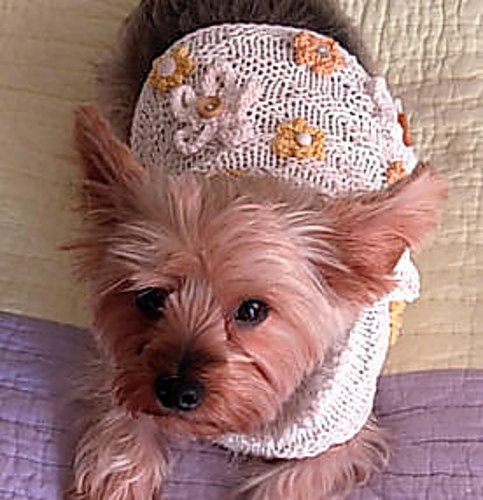Basket of Daisies Dog Sweater photo 5