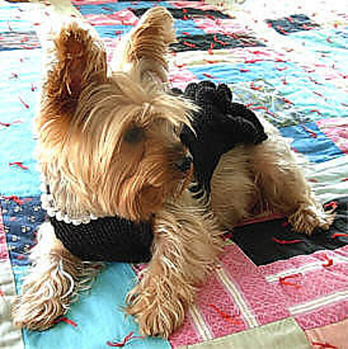 Liten svart kjole med perler Hund-genser - bysavannahkayFlickr