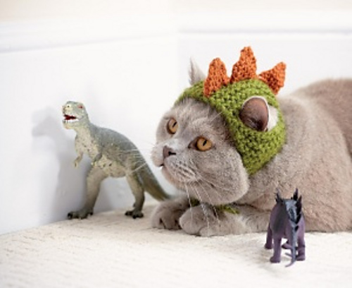 Dinosaur
