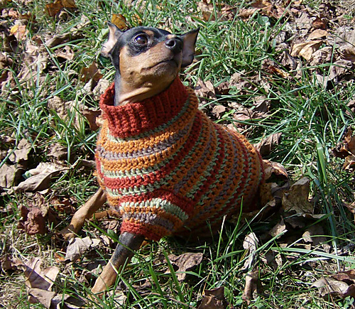 Autumn Stripes Crochet Min Pin Sweater photo 1