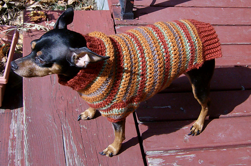 Autumn Stripes Crochet Min Pin Sweater photo 2