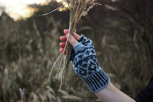 Betula Mitts