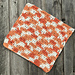 Tangerine Dream Washcloth pattern 