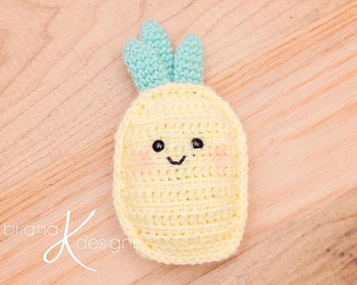 Pineapple Poncho & Buddy photo 4