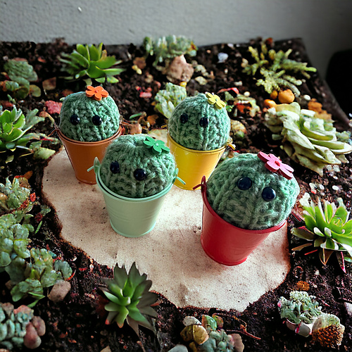 Flora Flower Cactus