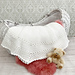 Granny Stitch Shawl pattern 