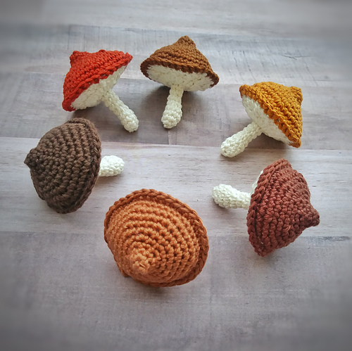 Colorful mushrooms photo 3